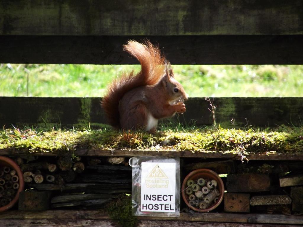 Lochranza Youth Hostel Luaran gambar